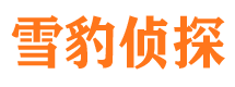 绿春市侦探公司